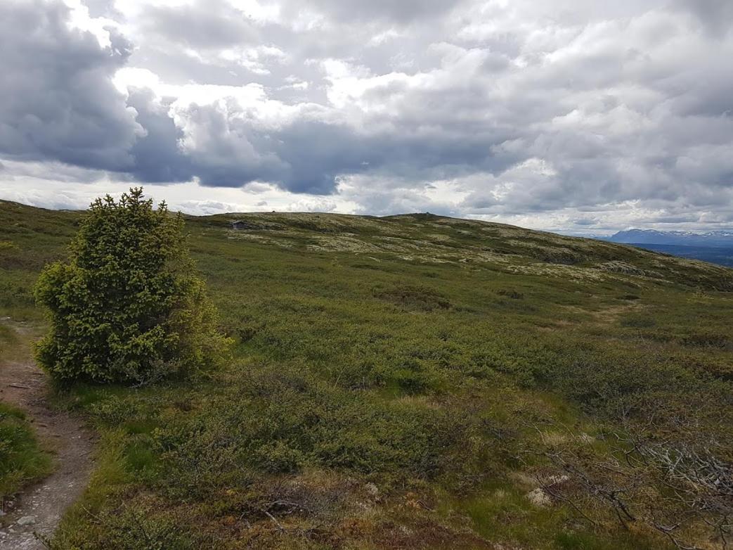 Hos Blafjelldal, Bagn I Valdres Bed & Breakfast Exterior foto